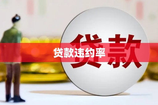 武邑贷款违约率
