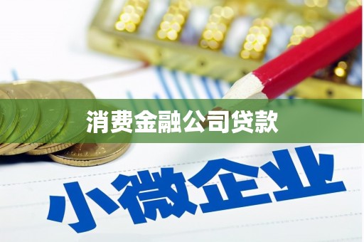 武邑消费金融公司贷款