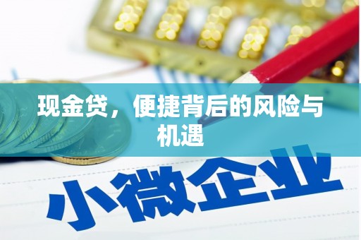 武邑现金贷，便捷背后的风险与机遇