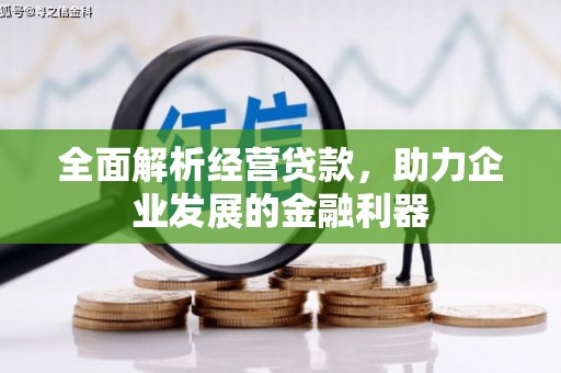 武邑全面解析经营贷款，助力企业发展的金融利器