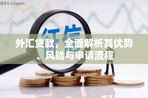 武邑外汇贷款，全面解析其优势、风险与申请流程