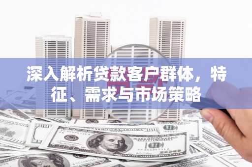 武邑深入解析贷款客户群体，特征、需求与市场策略