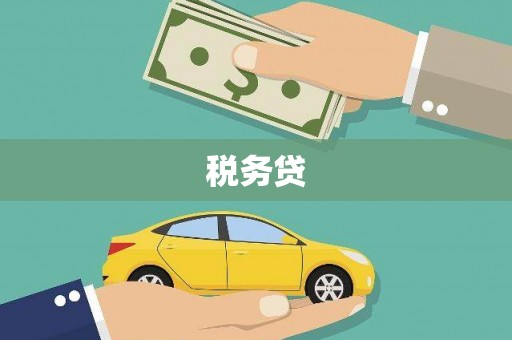 武邑税务贷