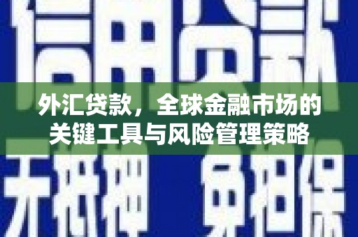 武邑外汇贷款，全球金融市场的关键工具与风险管理策略