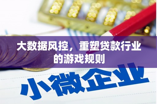 武邑大数据风控，重塑贷款行业的游戏规则