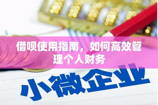 武邑借呗使用指南，如何高效管理个人财务