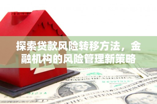 武邑探索贷款风险转移方法，金融机构的风险管理新策略