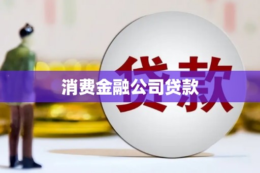 武邑消费金融公司贷款