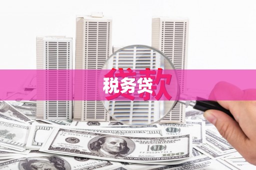 武邑税务贷