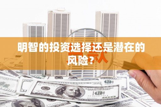 武邑明智的投资选择还是潜在的风险？