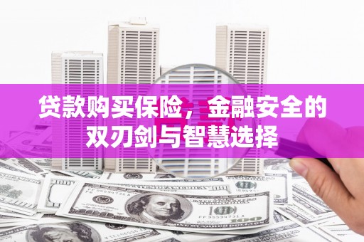 武邑贷款购买保险，金融安全的双刃剑与智慧选择