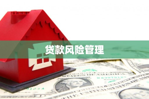 武邑贷款风险管理