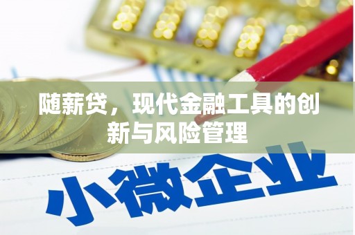 武邑随薪贷，现代金融工具的创新与风险管理
