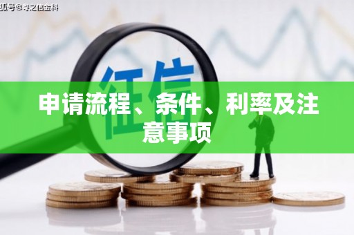 武邑申请流程、条件、利率及注意事项