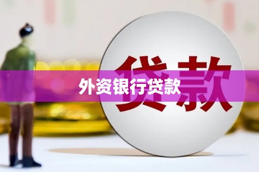 武邑外资银行贷款