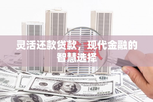 武邑灵活还款贷款，现代金融的智慧选择