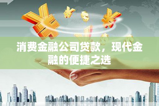 武邑消费金融公司贷款，现代金融的便捷之选