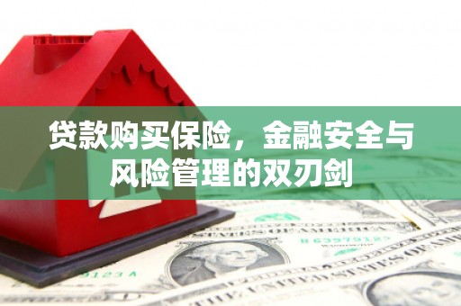武邑贷款购买保险，金融安全与风险管理的双刃剑