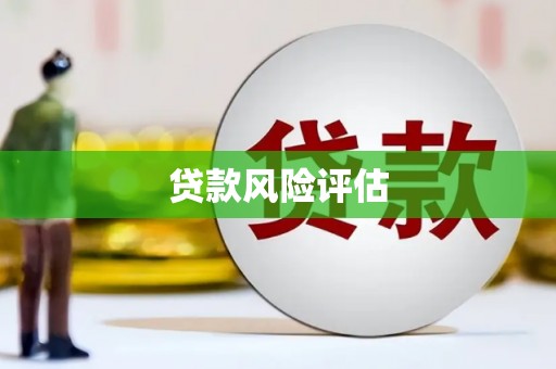 武邑贷款风险评估
