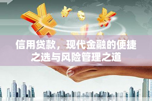 武邑信用贷款，现代金融的便捷之选与风险管理之道
