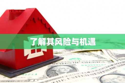 武邑了解其风险与机遇