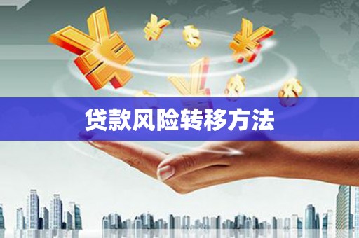 武邑贷款风险转移方法