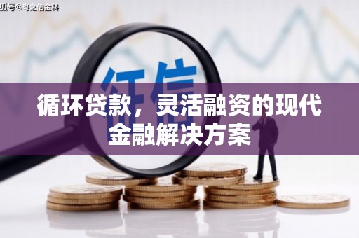 武邑循环贷款，灵活融资的现代金融解决方案