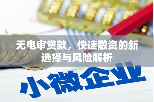 武邑无电审贷款，快速融资的新选择与风险解析