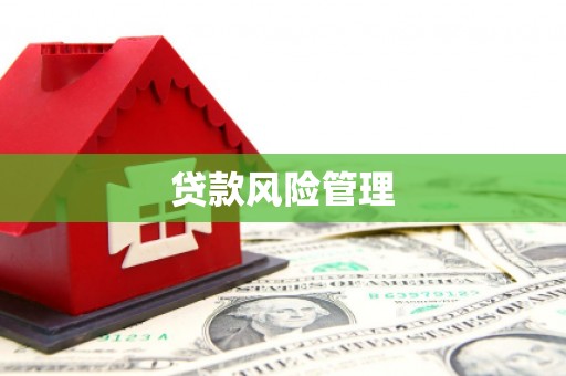武邑贷款风险管理