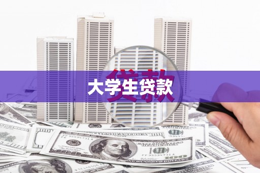 武邑大学生贷款