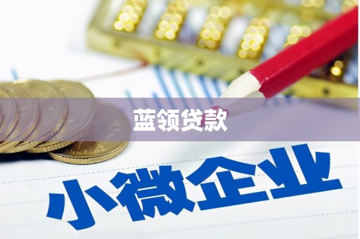 武邑蓝领贷款