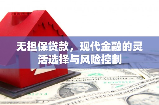 武邑无担保贷款，现代金融的灵活选择与风险控制