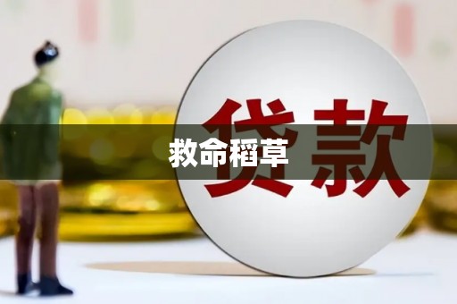 武邑救命稻草