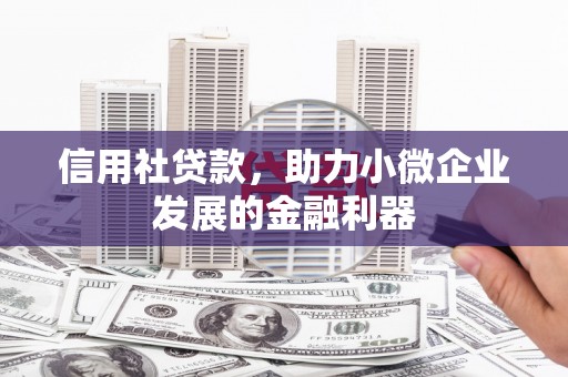 武邑信用社贷款，助力小微企业发展的金融利器