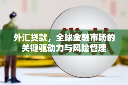 武邑外汇贷款，全球金融市场的关键驱动力与风险管理