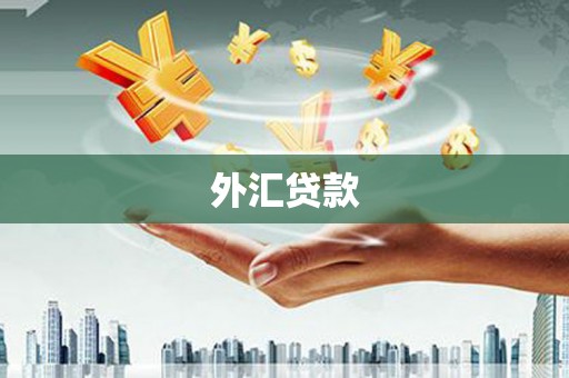 武邑外汇贷款