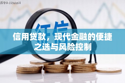 武邑信用贷款，现代金融的便捷之选与风险控制