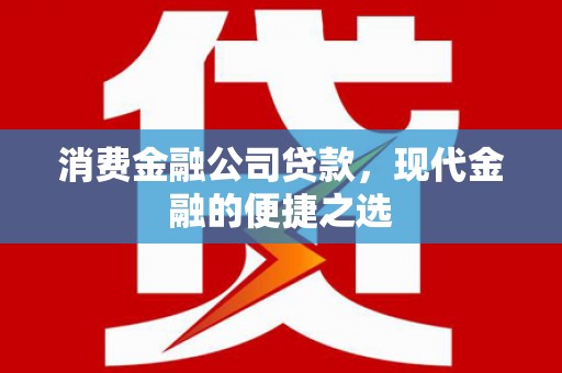 武邑消费金融公司贷款，现代金融的便捷之选