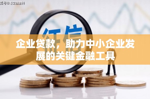 武邑企业贷款，助力中小企业发展的关键金融工具