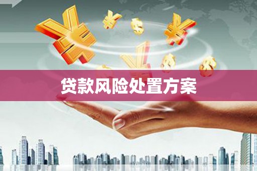 武邑贷款风险处置方案