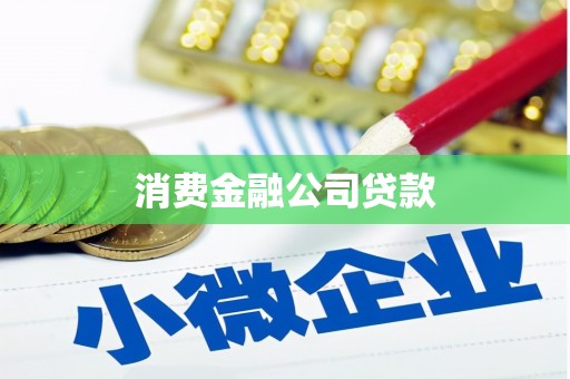 武邑消费金融公司贷款