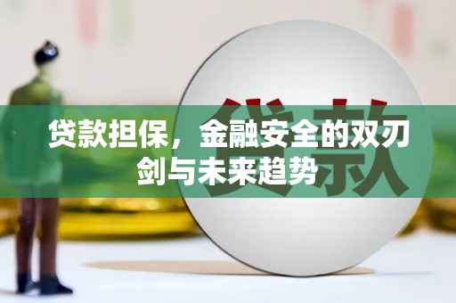 武邑贷款担保，金融安全的双刃剑与未来趋势