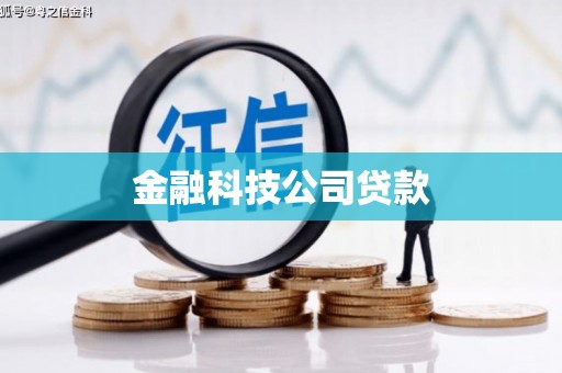 武邑金融科技公司贷款