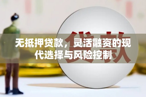 武邑无抵押贷款，灵活融资的现代选择与风险控制