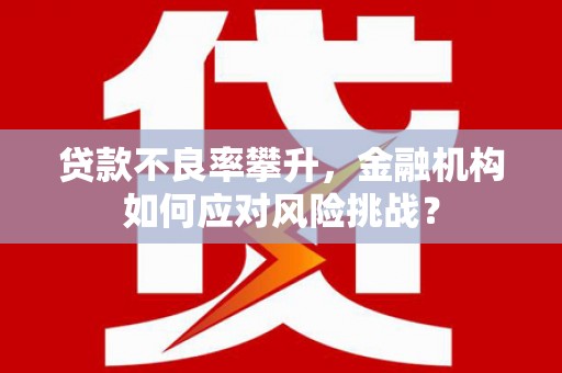 武邑贷款不良率攀升，金融机构如何应对风险挑战？