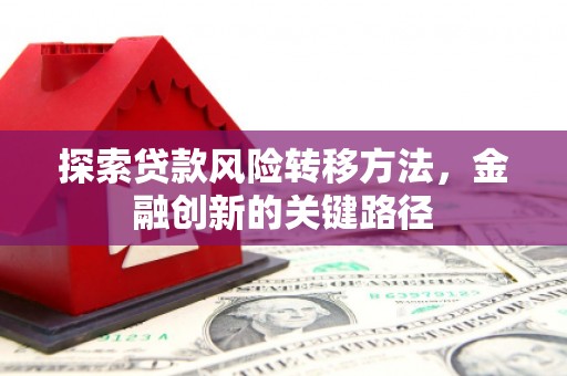 武邑探索贷款风险转移方法，金融创新的关键路径