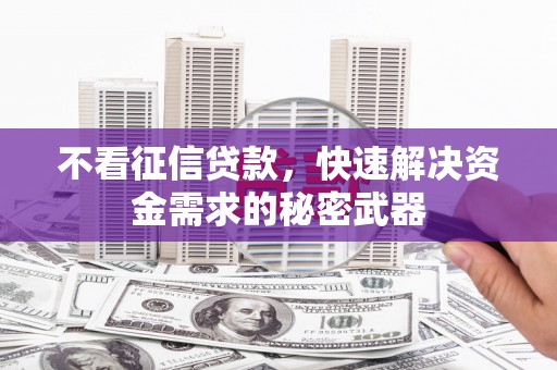 武邑不看征信贷款，快速解决资金需求的秘密武器