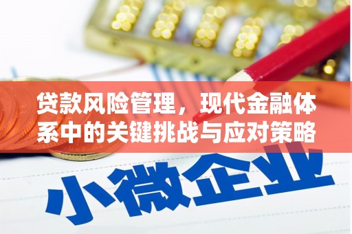 武邑贷款风险管理，现代金融体系中的关键挑战与应对策略