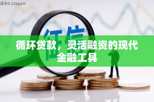 武邑循环贷款，灵活融资的现代金融工具