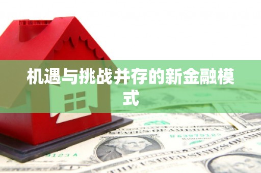 武邑机遇与挑战并存的新金融模式